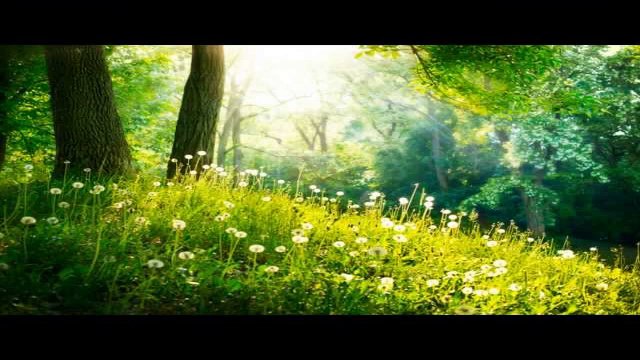 Relaxing Instrumental Music-8 Hours Epic Piano & Smooth Chillout-Long Playlist