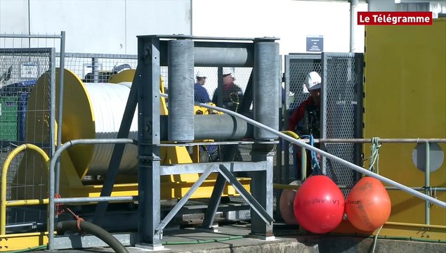Brest. Le retour du SNLE Triomphant à l'Île-Longue