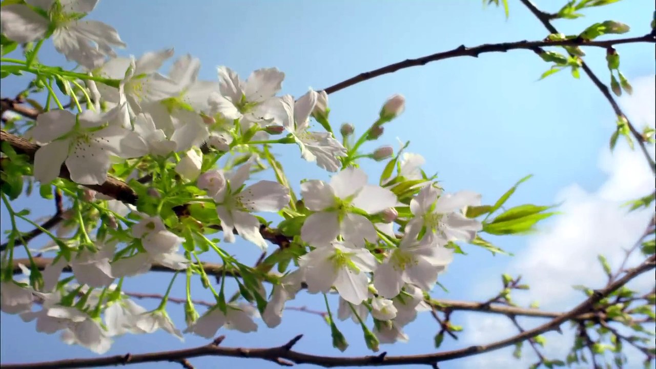 ► Planet Earth  Amazing nature scenery (1080p HD)