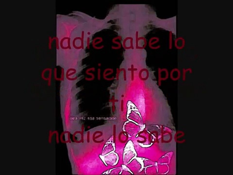 nadie sabe - Ecos del Rocio