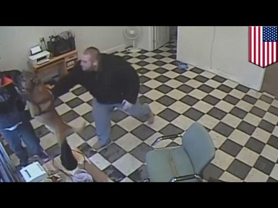 Pies-bohater broni swojego pana przed agresorem z bronią w ręku