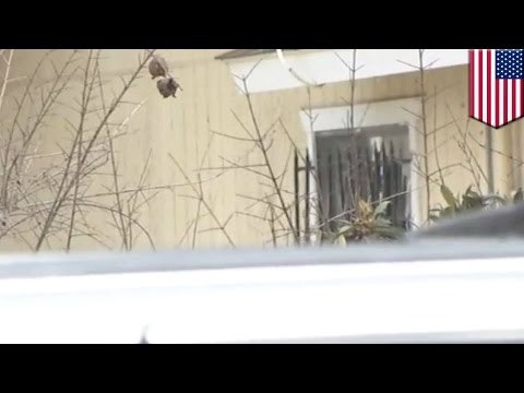 4-letnia dziewczynka znaleziona martwa z głową pomiędzy kratami