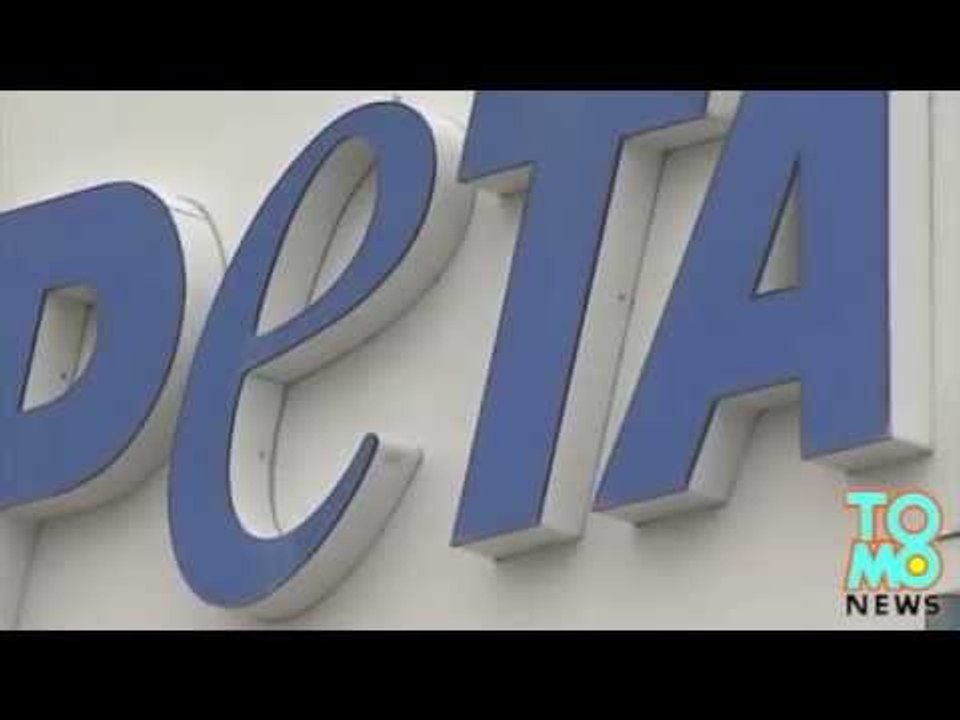 PETA kradnie zdrowego i kochanego psa z domu rodziny i usypia go kilka dni później