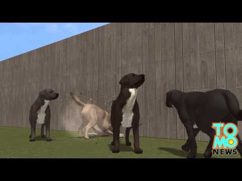 Walka psów: kobieta chce miliona dolarów odszkodowania po tym jak jej psy zabiły beagla