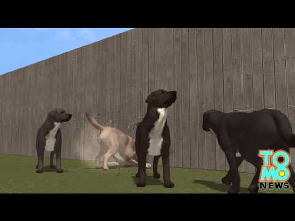 Walka psów: kobieta chce miliona dolarów odszkodowania po tym jak jej psy zabiły beagla