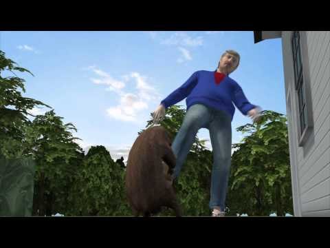 Wściekły świstak atakuje ludzi w Hampshire