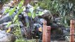 Pondless Waterfalls, Ponds & Koi