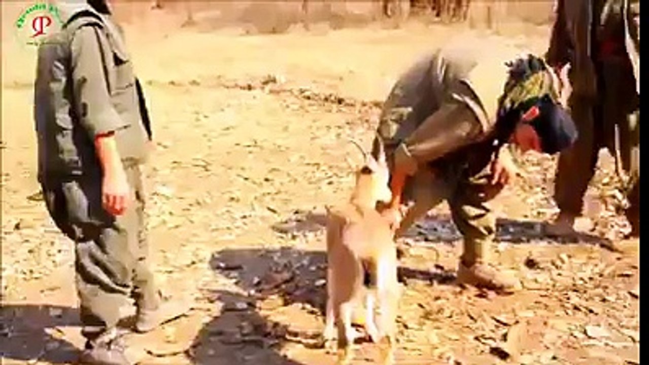 Amaizing Stant Oh My God