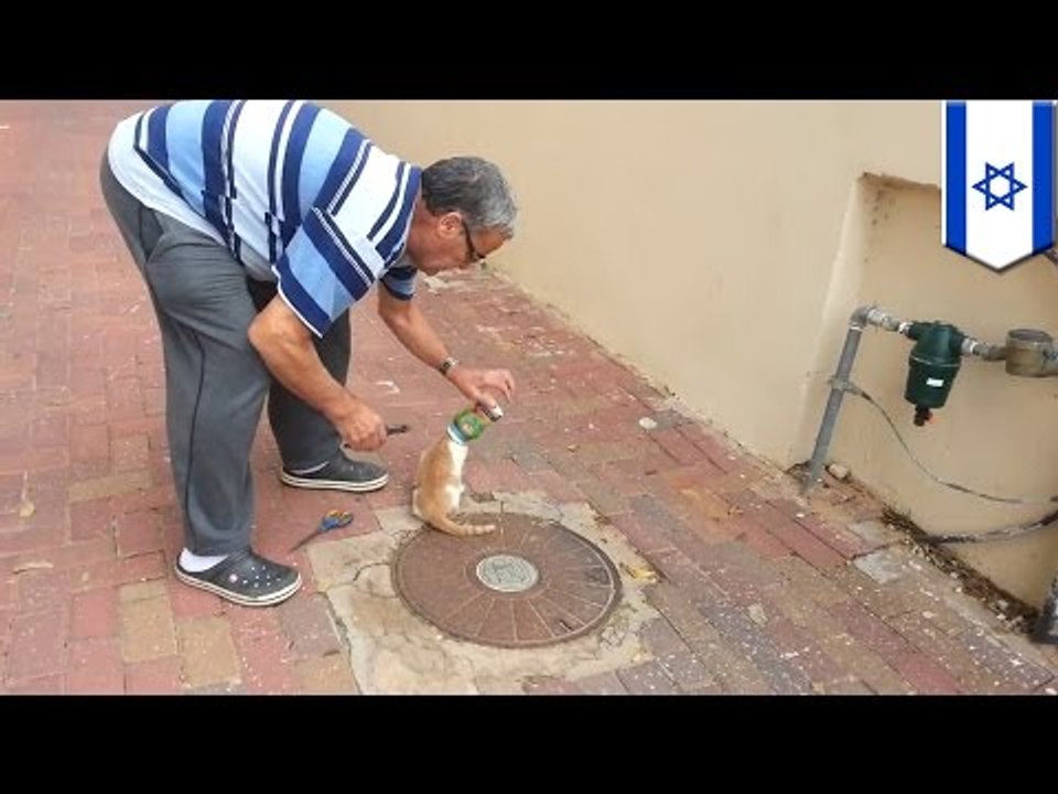 Rescuing cats: Cat gets head stuck in plastic jar, helpful human sets it free