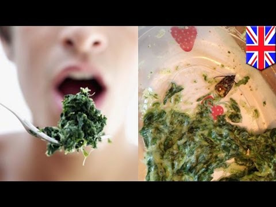 Barf! Man bites into cockroach in pre-packaged Marks & Spencer creamed spinach