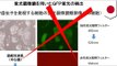 Stem cell fraud: Haruko Obotaka forced to retract paper on STAP cells