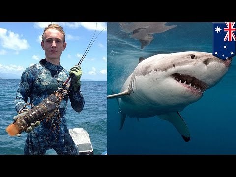 Australia shark attack: Queensland teenager Daniel Smith killed while fishing on Great Barrier Reef