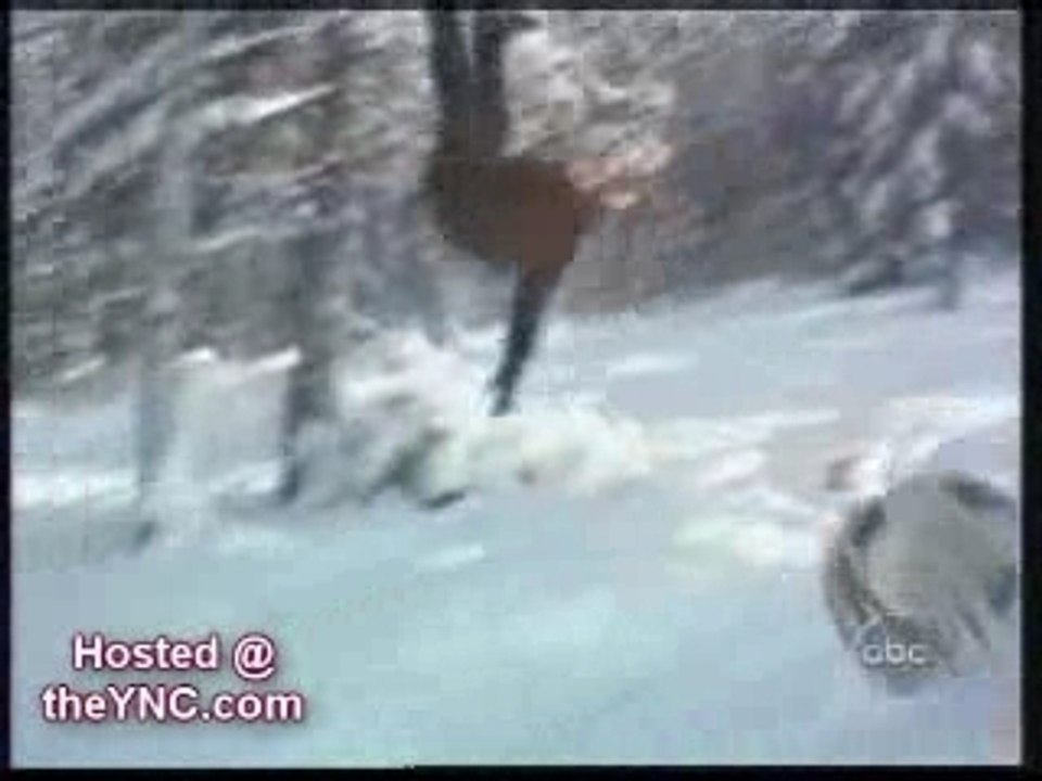 Wintersport_planetbossi tw