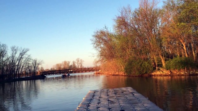 Attaqués par des carpes volantes pendant qu'ils font de l'aviron