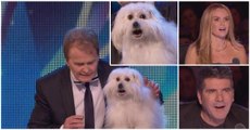 Funny Videos: Wendy, The Talking Dog, (And Marc Métral) Wow The Judges On Britain's Got Talent 2015