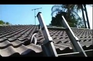 Snakes having dance and fight at roof