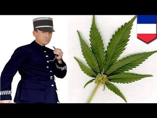 Mga pulis sa Roubaix, France, naha-high sa amoy ng 60 lbs na marijuana sa presinto!