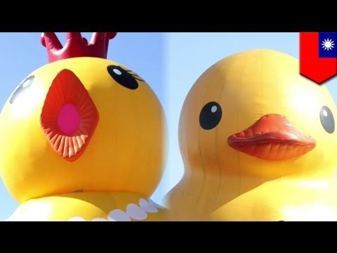 Giant Rubber Duck vs. Giant Golden Chicken, sa Keelung, Taiwan!