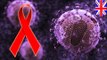 HIV evolution: scientists say virus’ changes may make it less deadly and less contagious