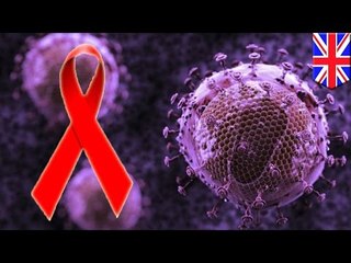 HIV evolution: scientists say virus’ changes may make it less deadly and less contagious