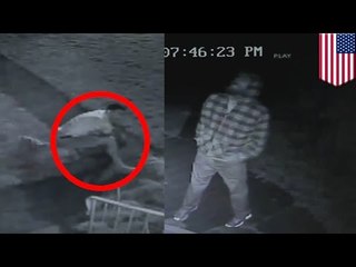 Seattle home invasion: This burglar found out the hard way you don’t break into a vet’s house