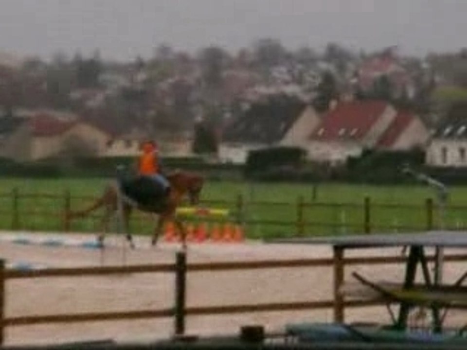 Centre equestre de montgeron