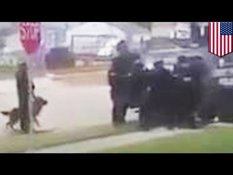 Police shoot dog over argument about picking up dog poop, caught on video