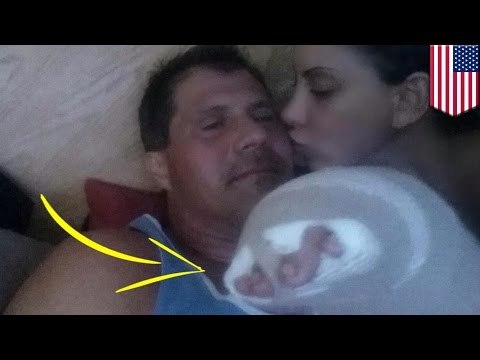 Jose Canseco blows off own middle finger while cleaning his pistol