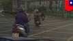Dog riding scooter: Video shows terrified dog perched precariously on the back of scooter.