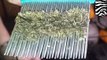 Worst head lice infestation ever: Adult shows child how to get rid of head lice with a nit comb
