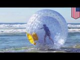 Extreme stunts gone wrong: Insane ‘Bubble Man’ Reza Baluchi fails attempt to ‘run’ across ocean