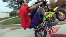 Amazing DOG Tricks Best Motorcycle STUNTS Pooch Riding WHEELIES Jack Russell Terrier Bike WHEELIE