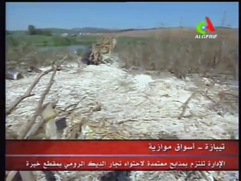 La honte d'Alger: Les Cannibales de Magtaâ Kheïra - الفوحة تسرع في مقطع خيرة