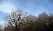 Horrible Eagle snatching a kid while he was playing in park