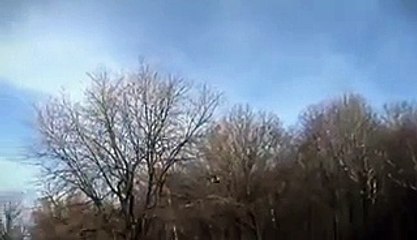 Horrible Eagle snatching a kid while he was playing in park