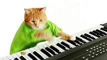Keyboard Cat's Wonderful Pistachios Commercial!