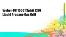 Weber 46110001 Spirit E210 Liquid Propane Gas Grill