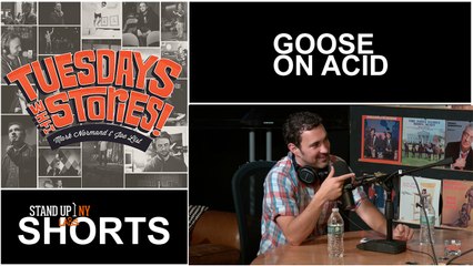 Tuesdays With Stories! - Goose On Acid