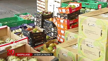 Comment lutter contre le gaspillage ?