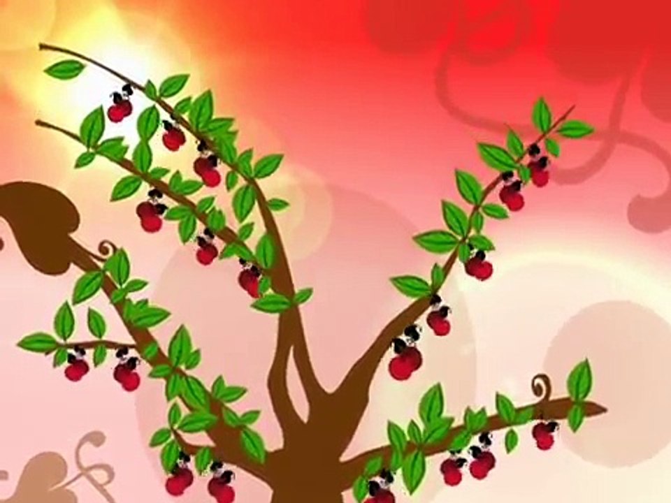 Sex Positions for Female Orgasm