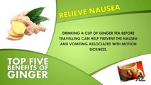 Top 5 Benefits Of Ginger | Best Health Food Tips | Food