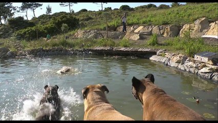 E Agora? Lembra-me - Trailer Español V.O.S.E HD [720p]