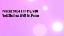 Pentair SNE-L 1 HP 115/230 Volt Shallow Well Jet Pump