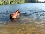 girl loses horse in water filmed for Twombly Publishing