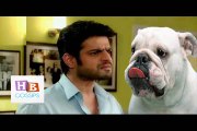 Raman Bana Kuty Ka Kuta Yeh Hai Mohabbatein 15th April 2015