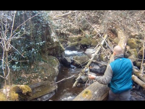 Truites du Tarn au toc