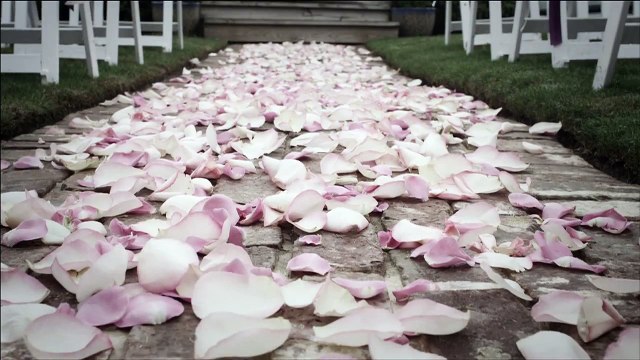 Mosquito Control for Weddings Events Wedding Planning Roswell Alpharetta Dunwoody