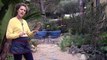 Succulent Landscaping : Gardening Advice