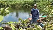 Restoring peatland forests in Indonesia (Bahassa Indonesia)