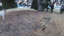 East Side Road Sunrise - Lake Berryessa, Napa, CA - Quadcopter Test Video 9-20-14